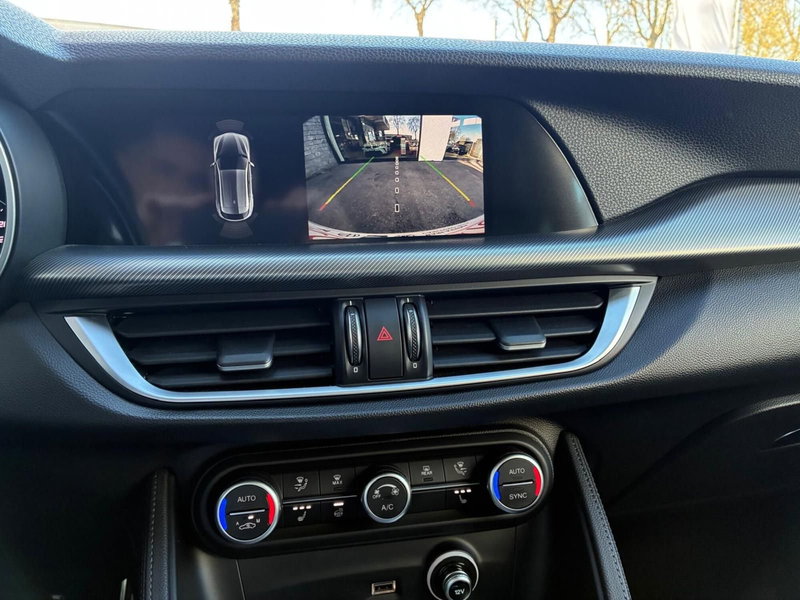 Alfa Romeo Stelvio usata a Monza e Brianza (12)