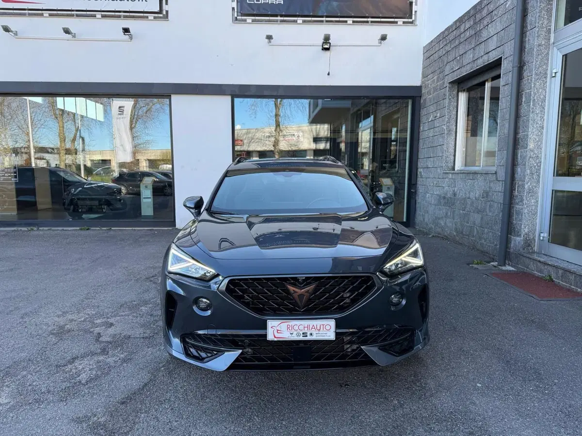 Cupra Formentor usata a Monza e Brianza (5)