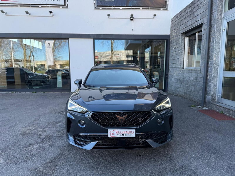 Cupra Formentor usata a Monza e Brianza (5)