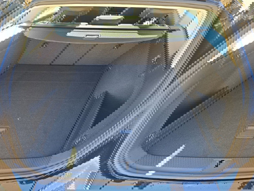 Volkswagen Passat Variant usata a Siena (10)