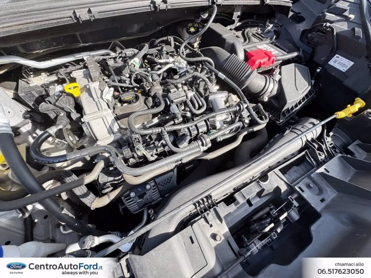Ford Puma usata a Roma (12)