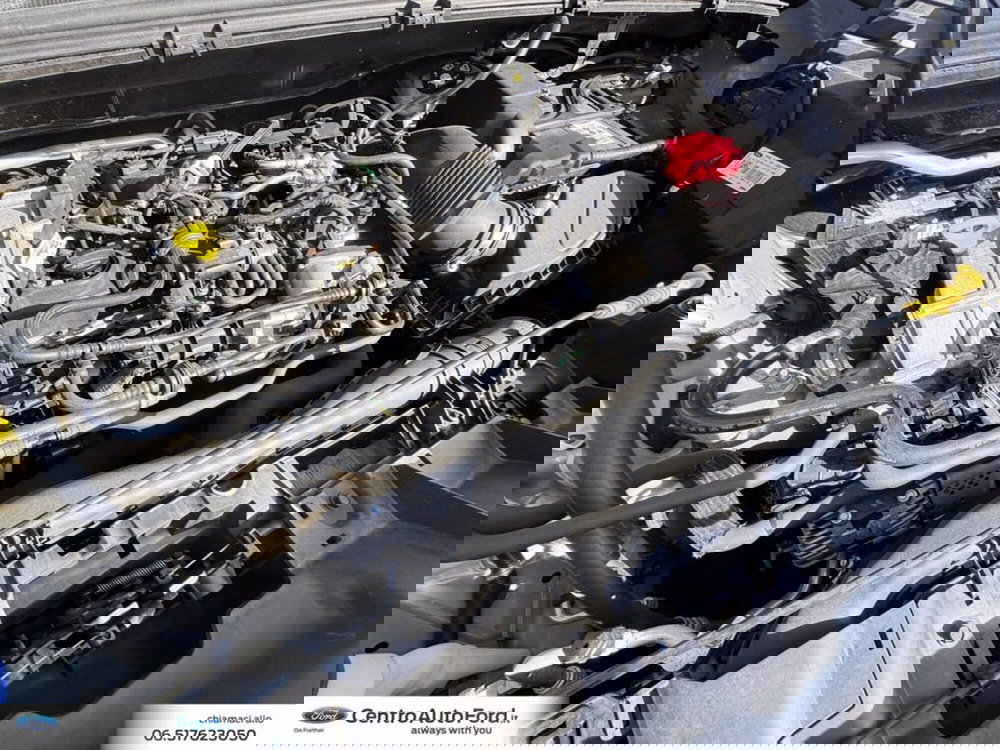 Ford Puma usata a Roma (12)