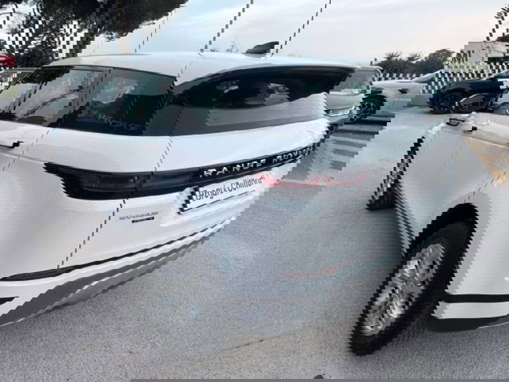 Land Rover Range Rover Evoque usata a Firenze (6)