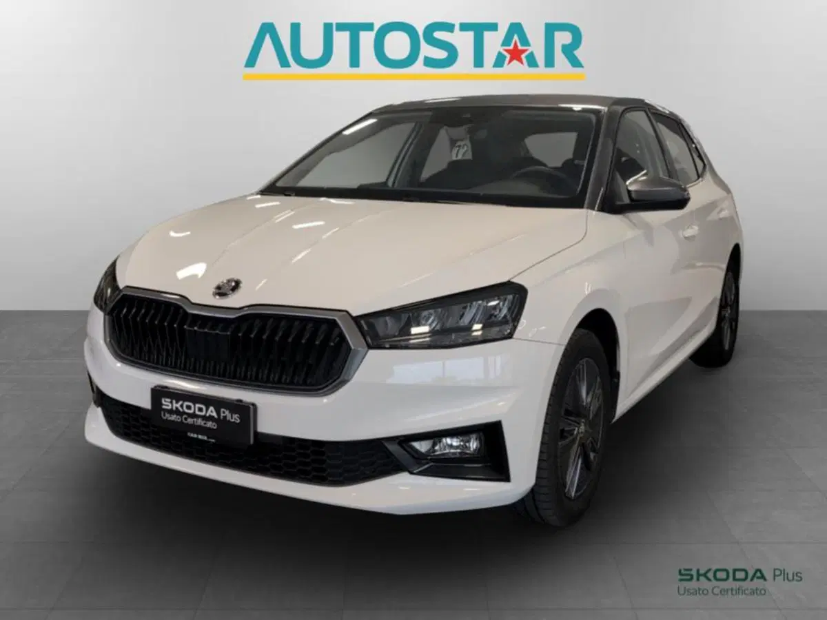 Skoda Fabia usata a Piacenza