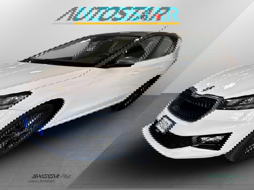 Skoda Fabia usata a Piacenza