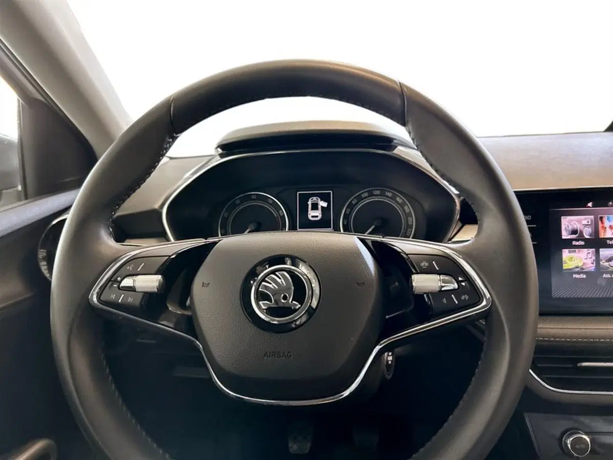 Skoda Fabia usata a Piacenza (14)