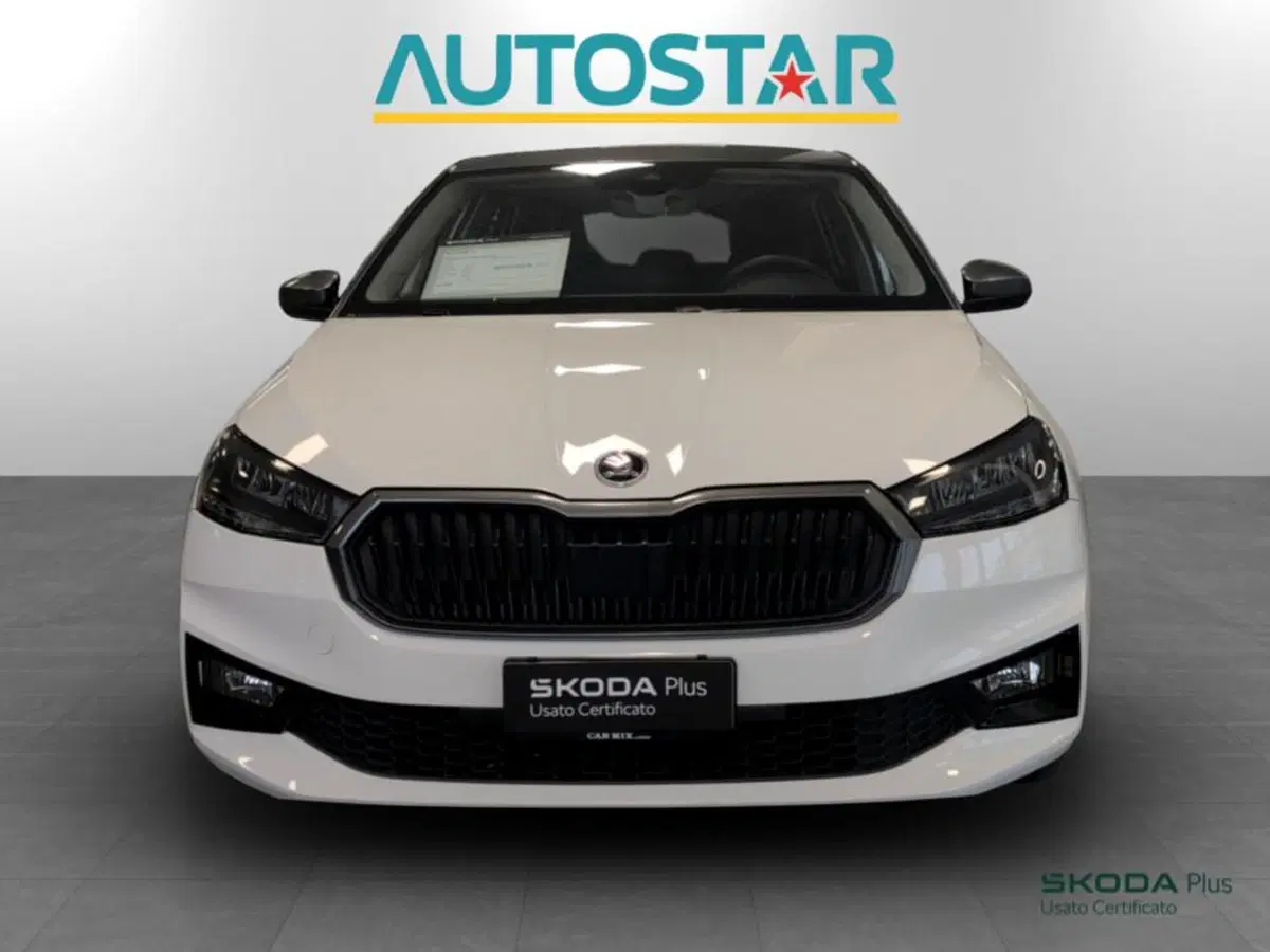 Skoda Fabia usata a Piacenza (2)