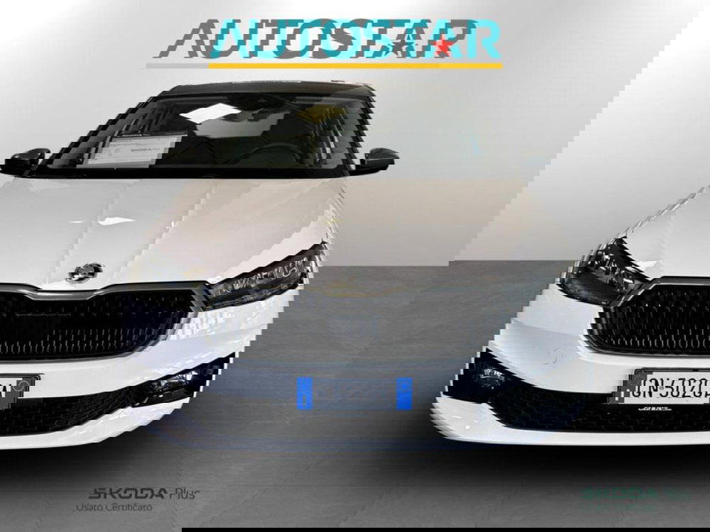 Skoda Fabia usata a Piacenza (2)