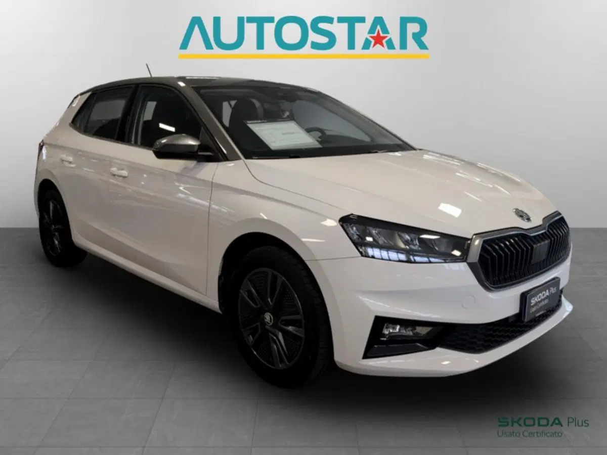 Skoda Fabia usata a Piacenza (3)