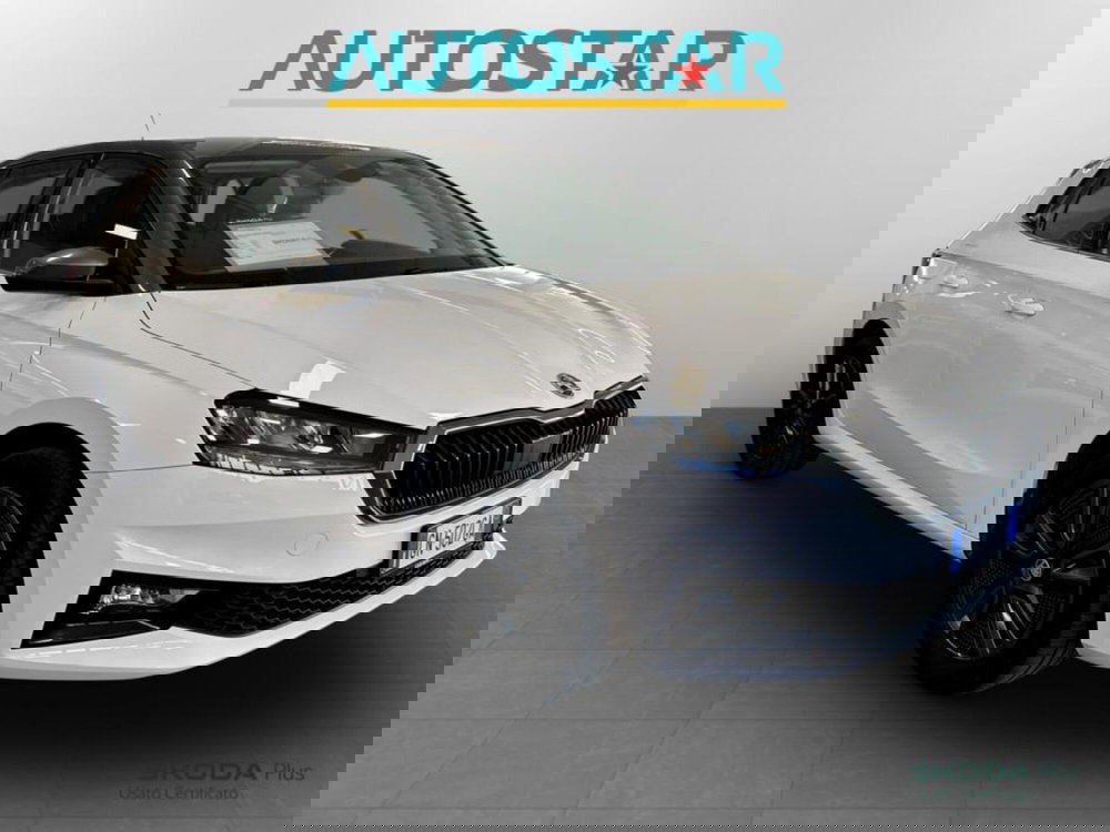 Skoda Fabia usata a Piacenza (3)