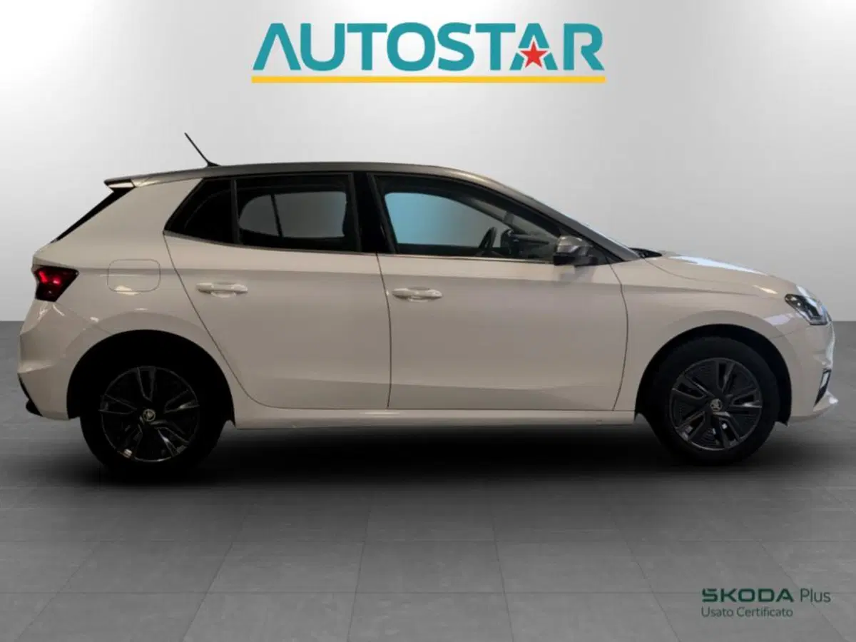 Skoda Fabia usata a Piacenza (4)