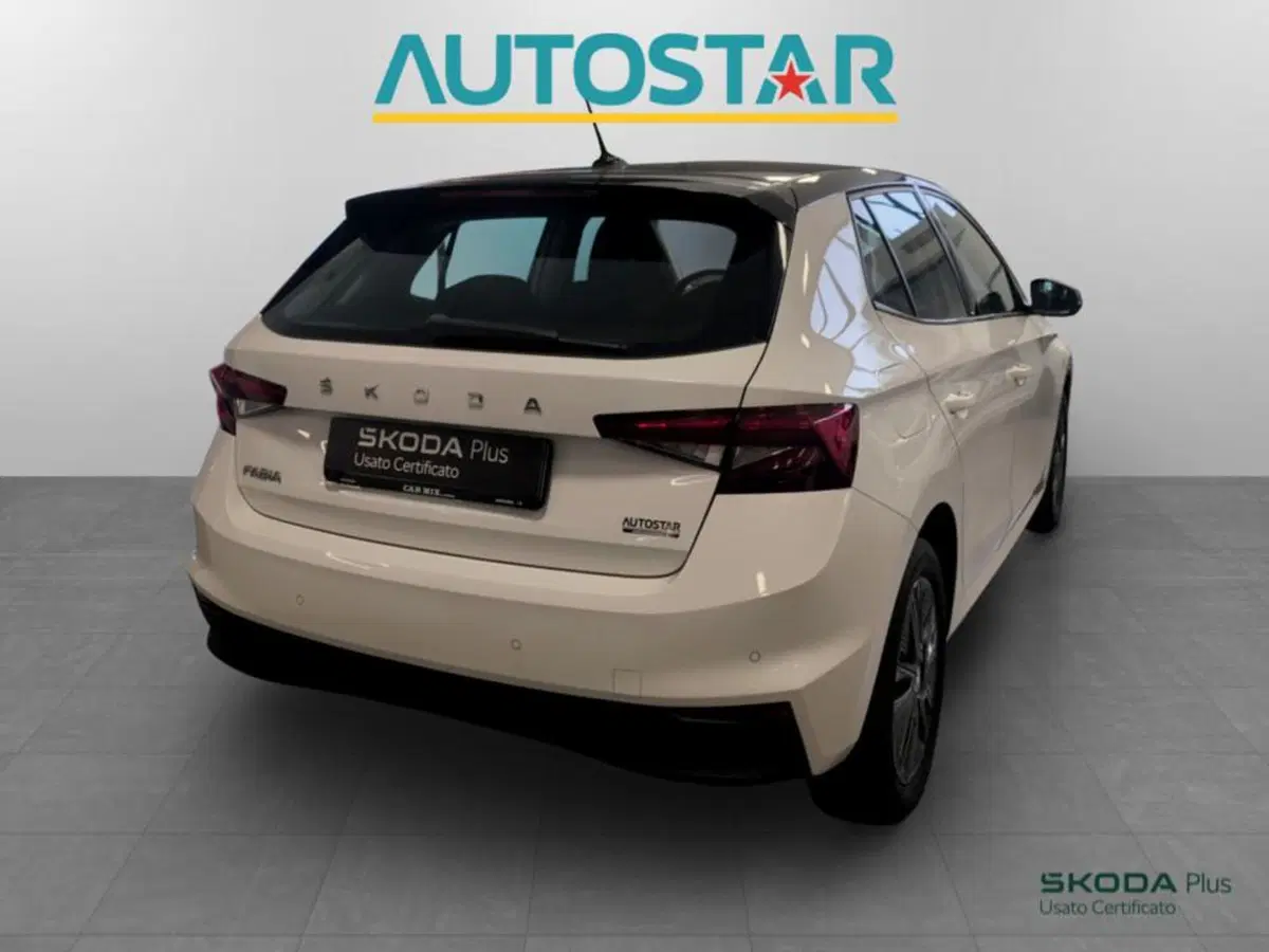 Skoda Fabia usata a Piacenza (5)