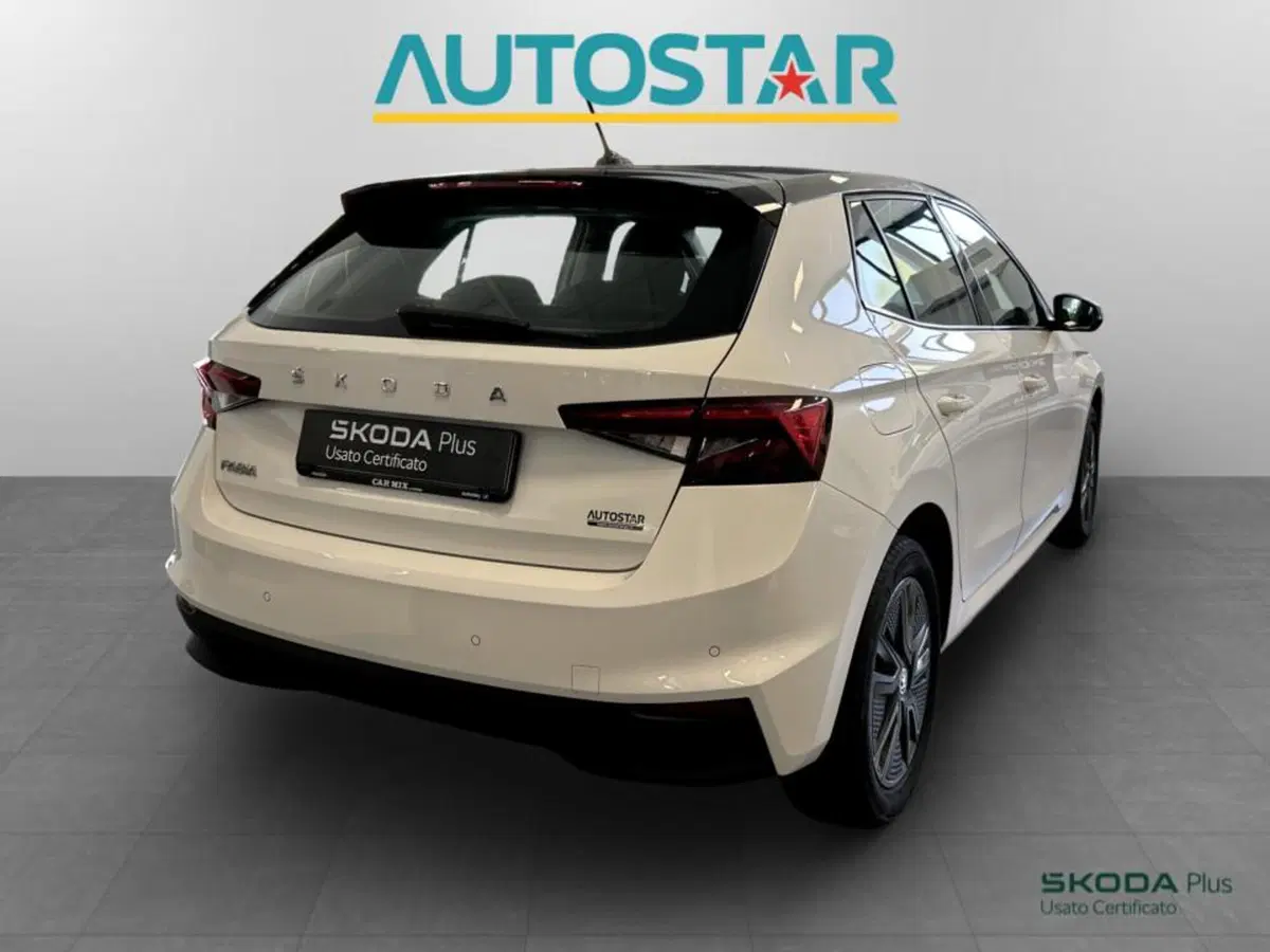 Skoda Fabia usata a Piacenza (7)
