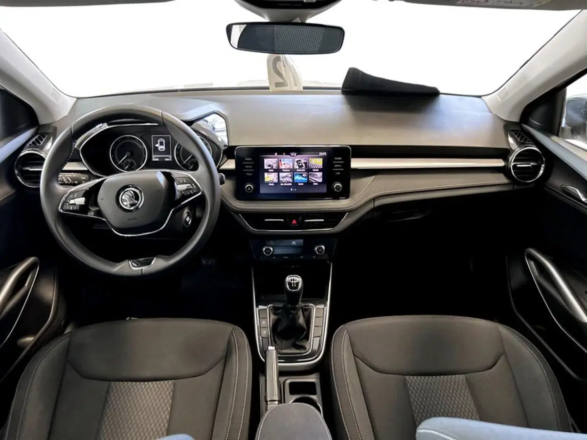 Skoda Fabia usata a Piacenza (9)