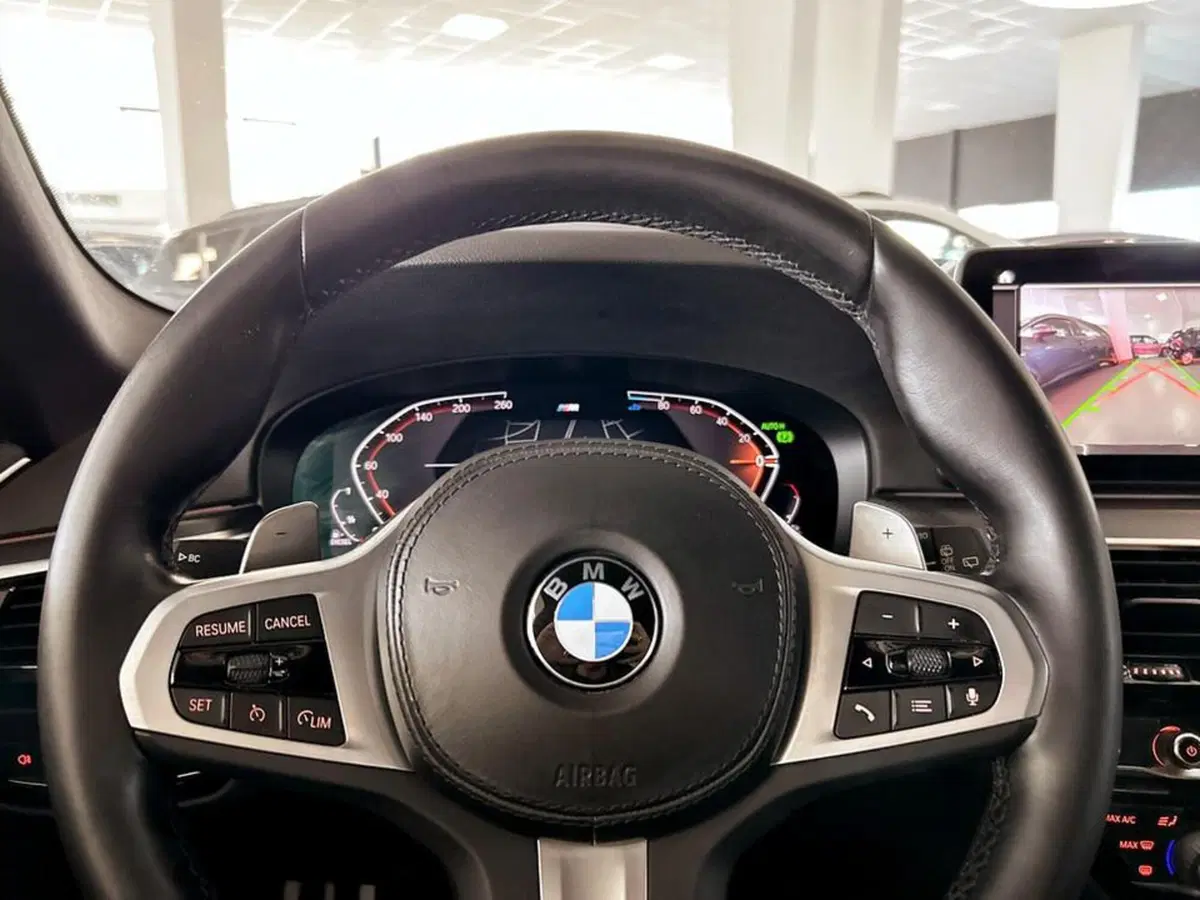 BMW Serie 5 Touring usata a Piacenza (13)