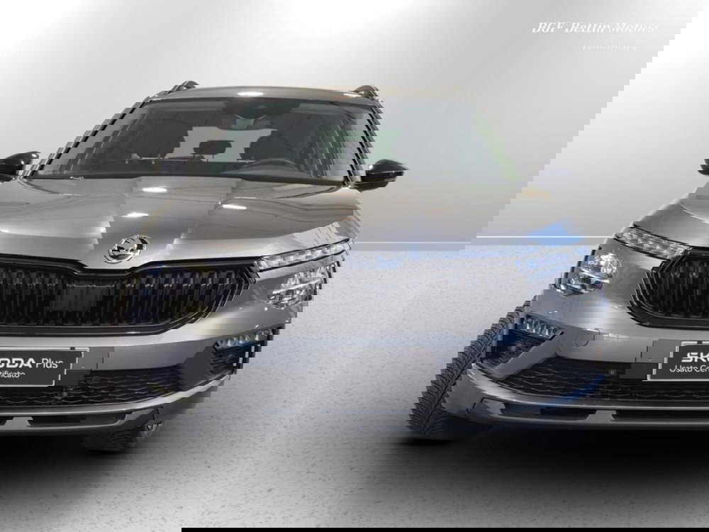 Skoda Kamiq usata a Padova (7)