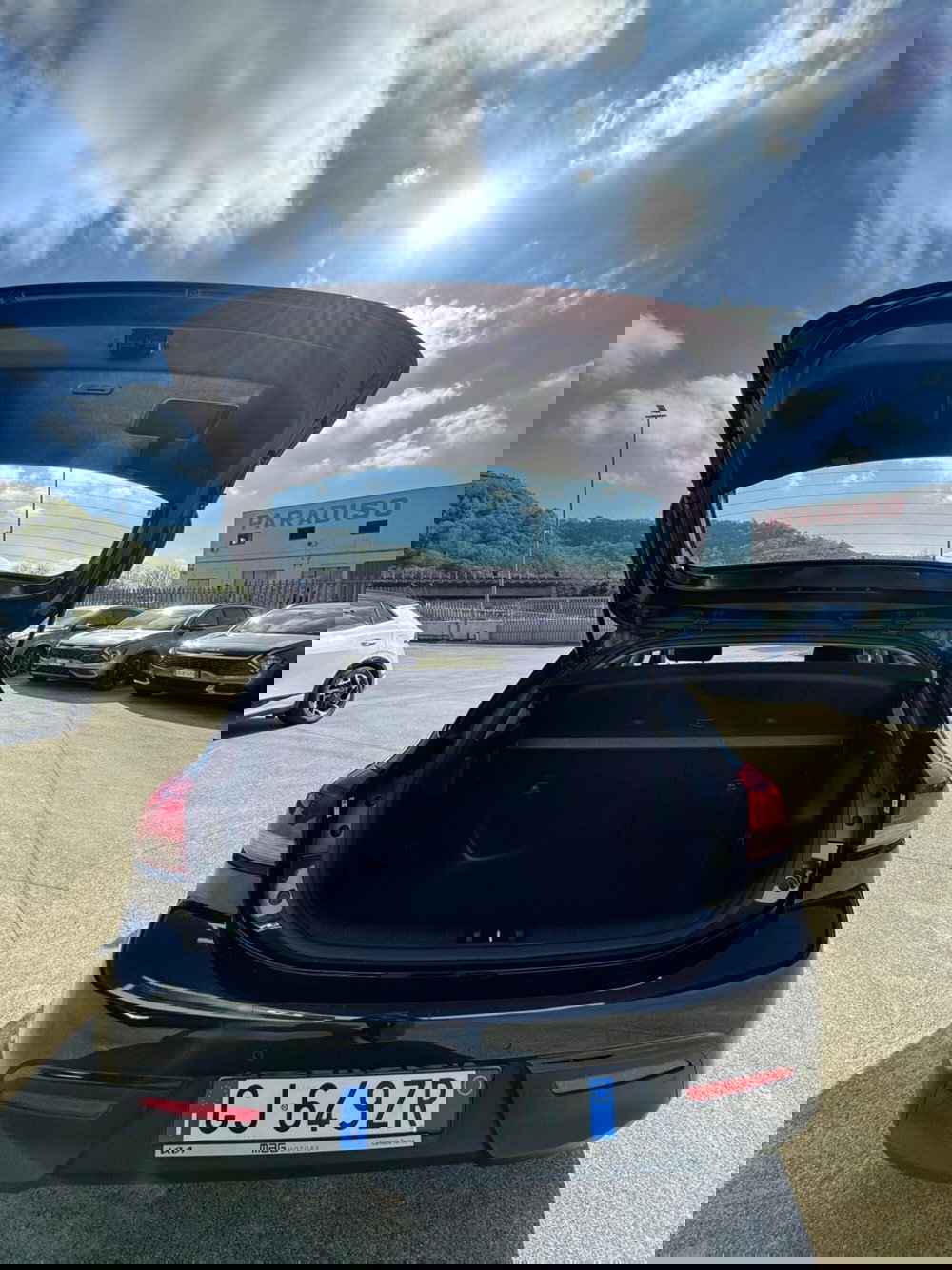 Kia Rio usata a Cosenza (4)