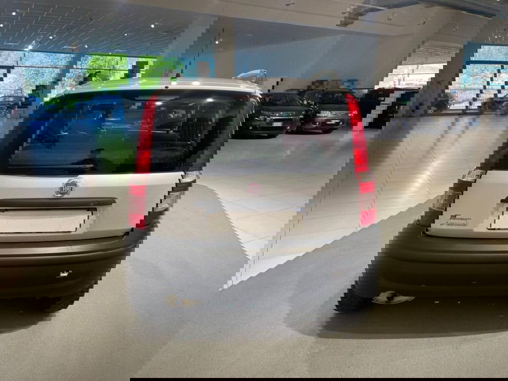 Fiat Panda usata a Sondrio (6)