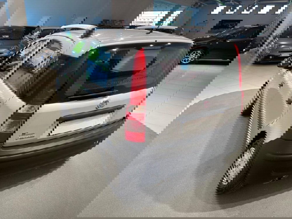 Fiat Panda usata a Sondrio (7)