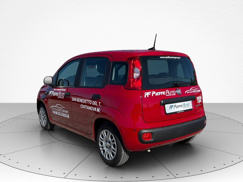 Fiat Pandina usata a Macerata (3)