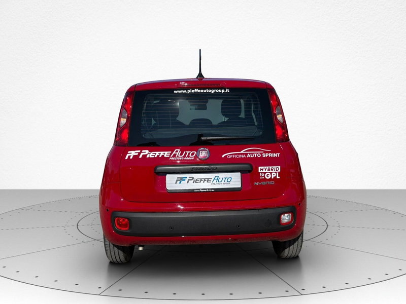 Fiat Pandina usata a Macerata (8)