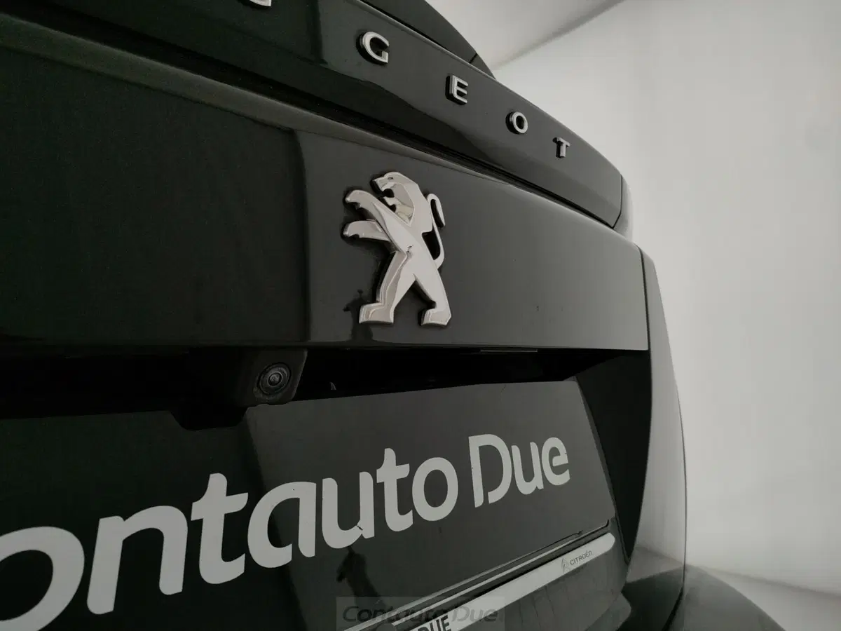 Peugeot 2008 usata a Caserta (8)