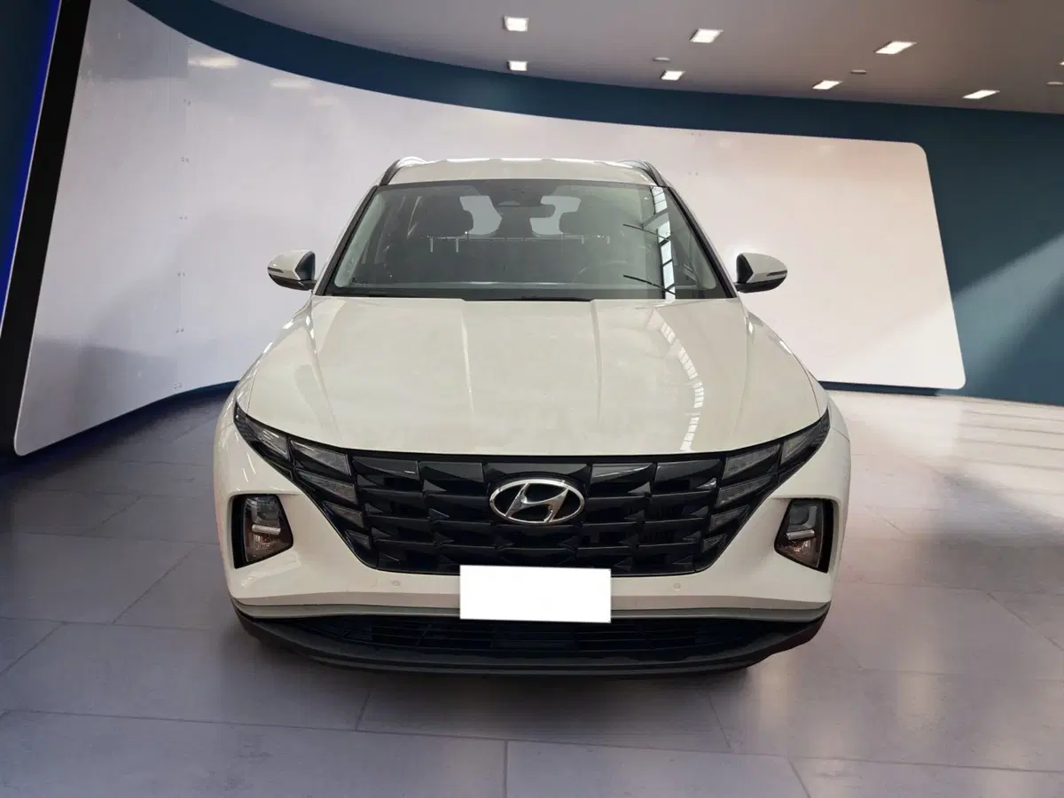 Hyundai Tucson usata a Torino
