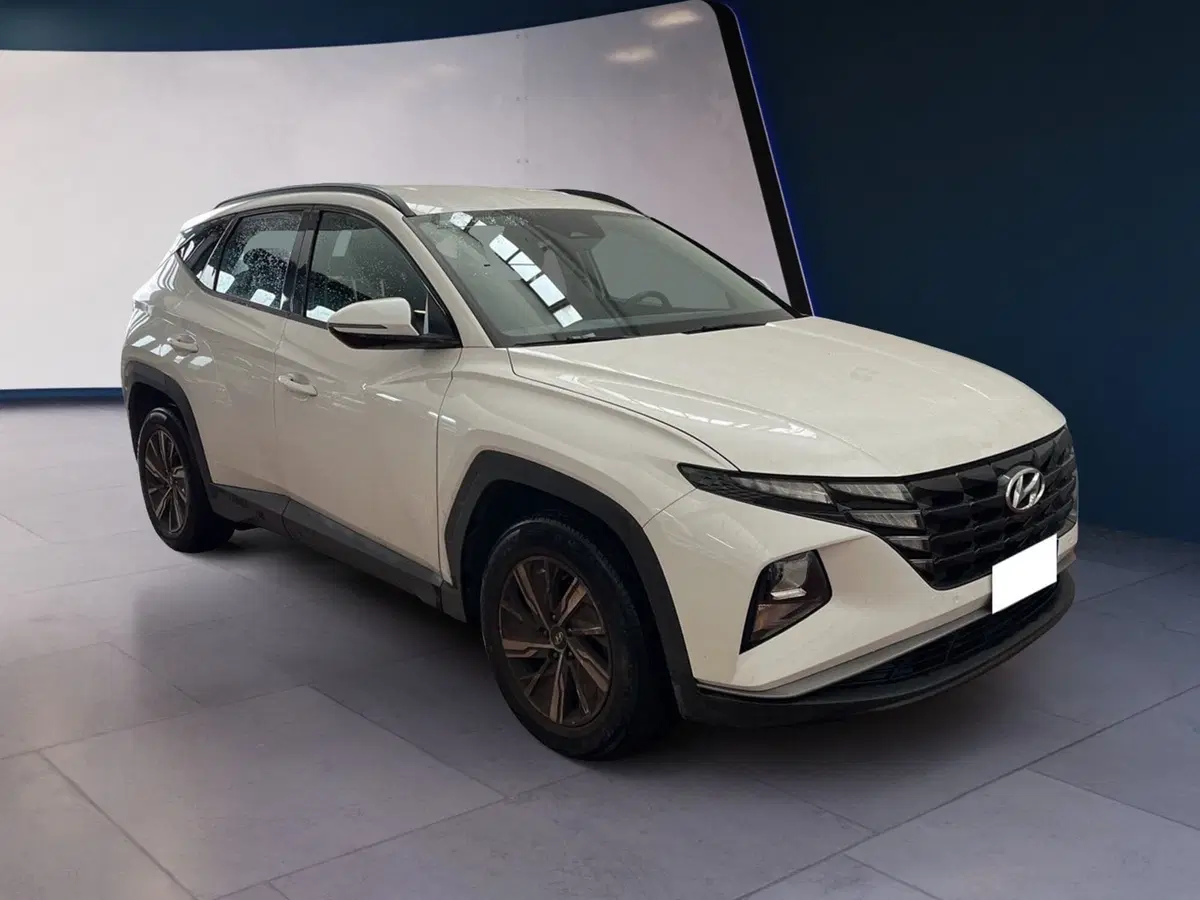 Hyundai Tucson usata a Torino (2)
