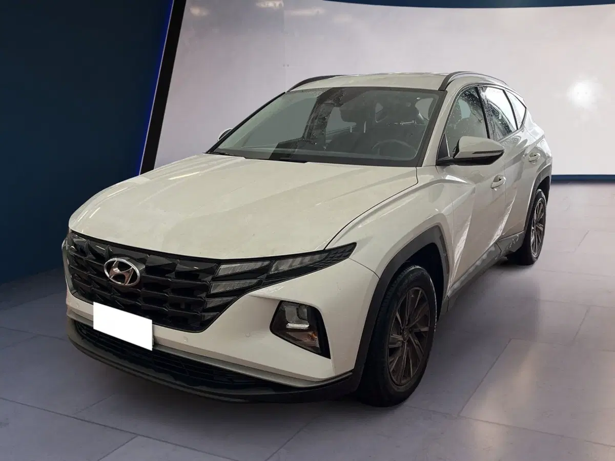 Hyundai Tucson usata a Torino (3)