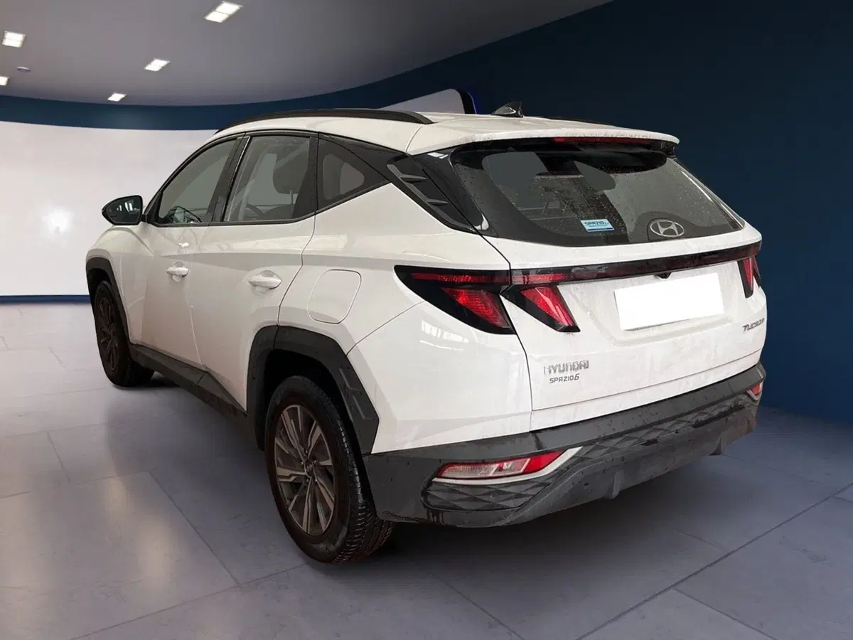 Hyundai Tucson usata a Torino (4)
