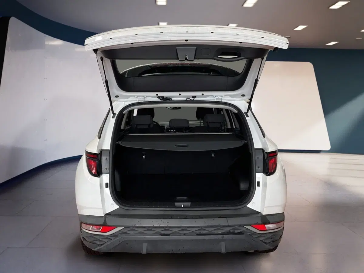 Hyundai Tucson usata a Torino (7)