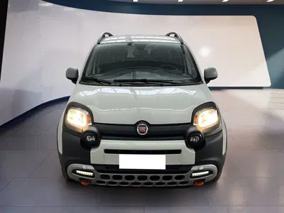 Fiat Panda Cross Cross 1.0 FireFly S&amp;S Hybrid del 2023 usata a Torino