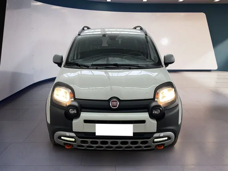 Fiat Panda Cross usata a Torino