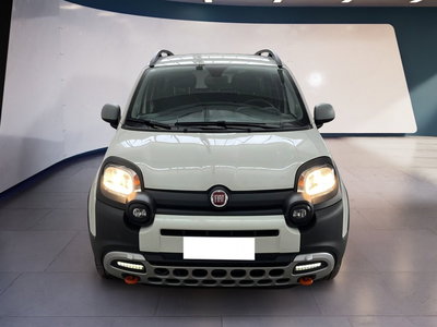 Fiat Panda Cross Cross 1.0 FireFly S&amp;S Hybrid del 2023 usata a Torino