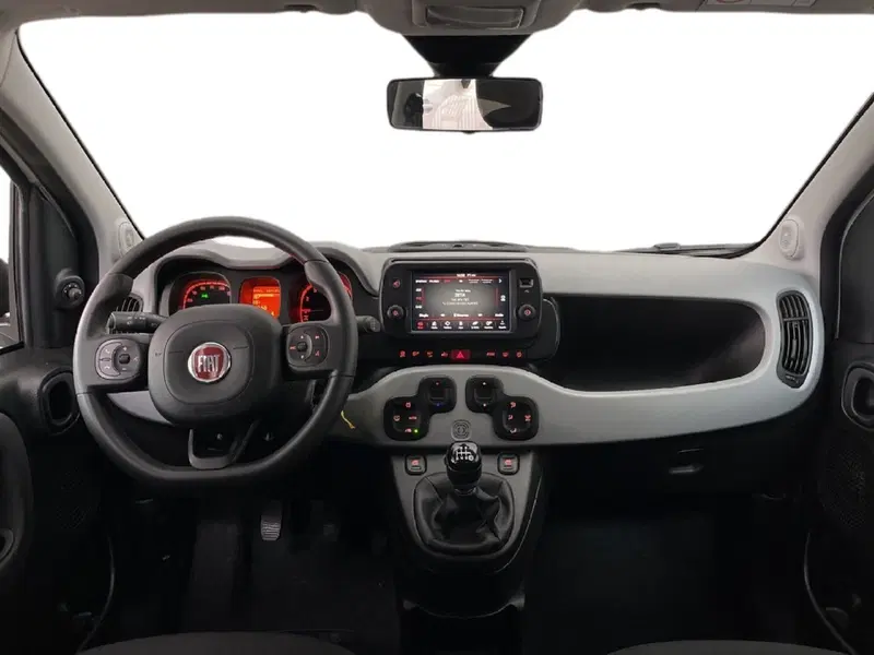 Fiat Panda Cross usata a Torino (11)