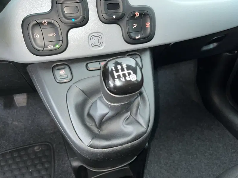 Fiat Panda Cross usata a Torino (13)