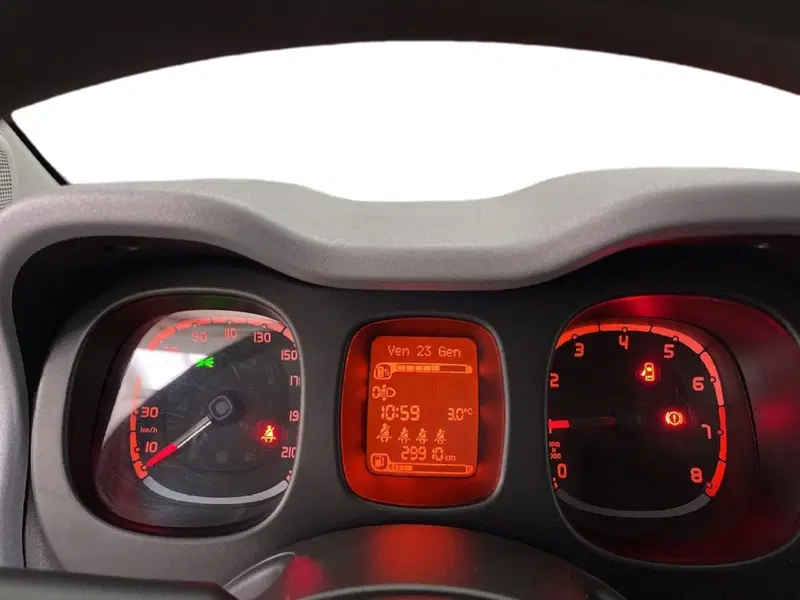 Fiat Panda Cross usata a Torino (15)