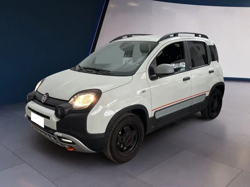Fiat Panda Cross usata a Torino (2)