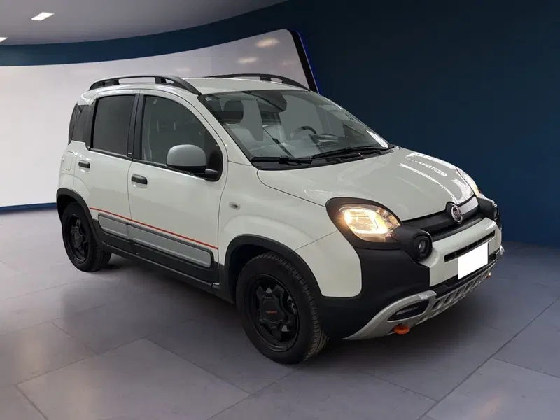 Fiat Panda Cross usata a Torino (3)