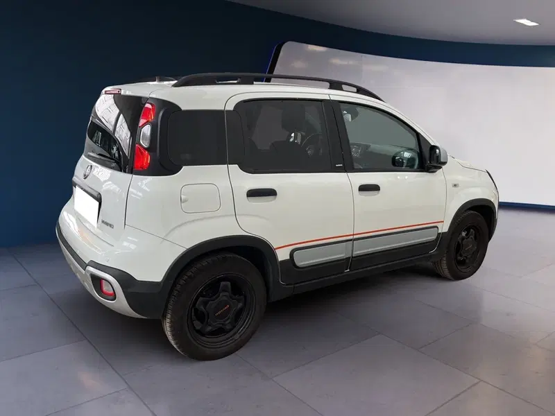 Fiat Panda Cross usata a Torino (4)