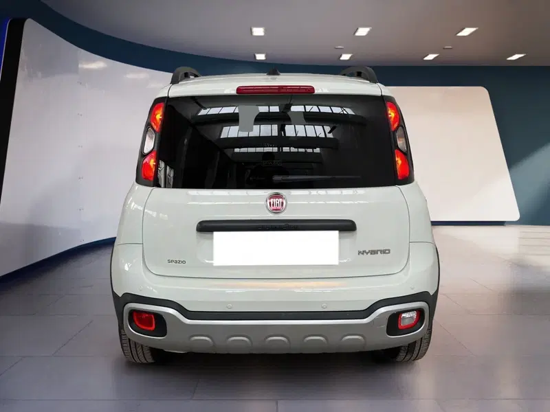 Fiat Panda Cross usata a Torino (5)