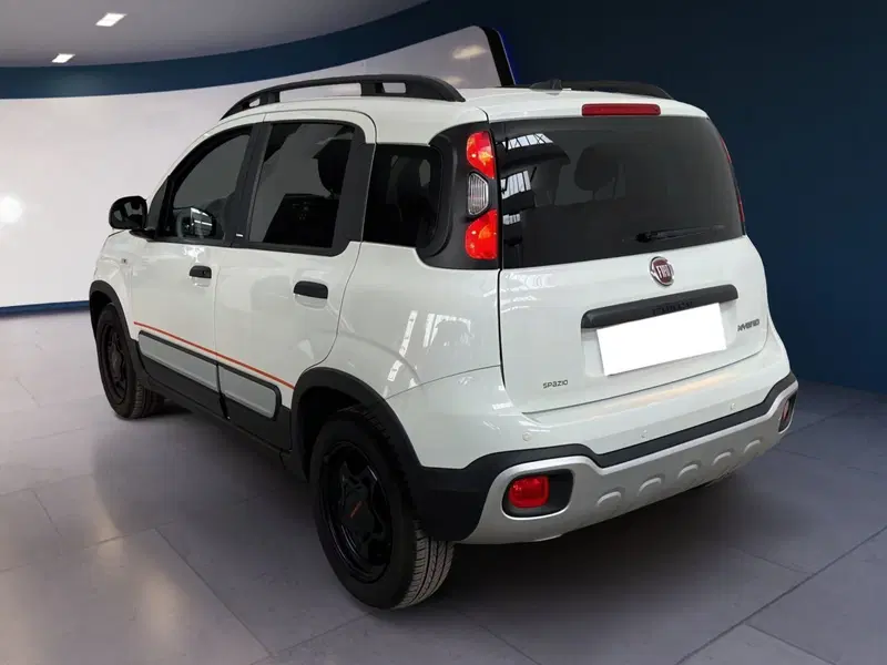 Fiat Panda Cross usata a Torino (6)