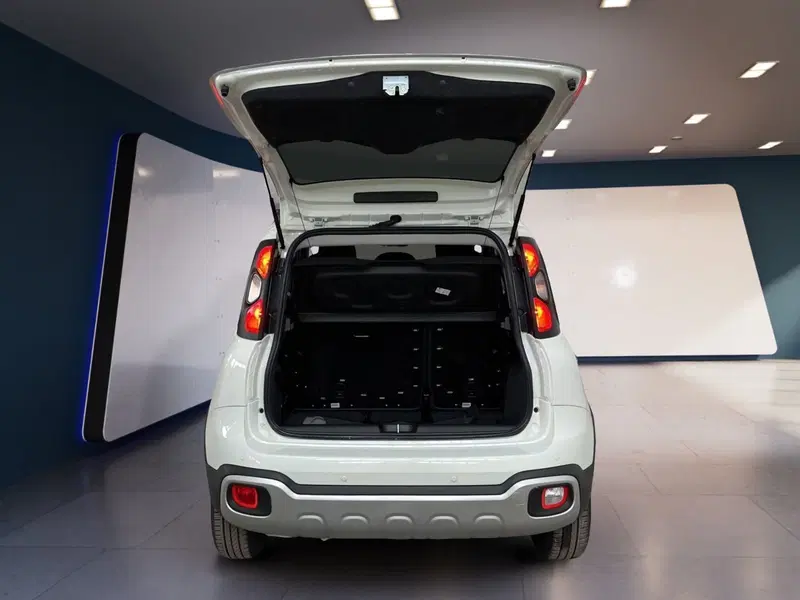 Fiat Panda Cross usata a Torino (7)