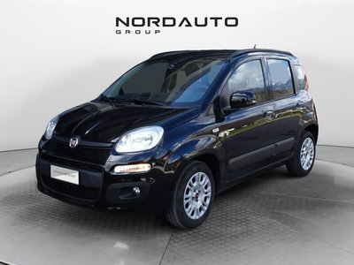 Fiat Panda 1.2 Lounge del 2019 usata a Sedico