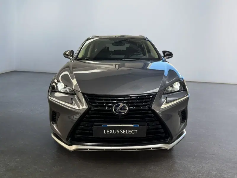 Lexus NX usata a Modena (2)