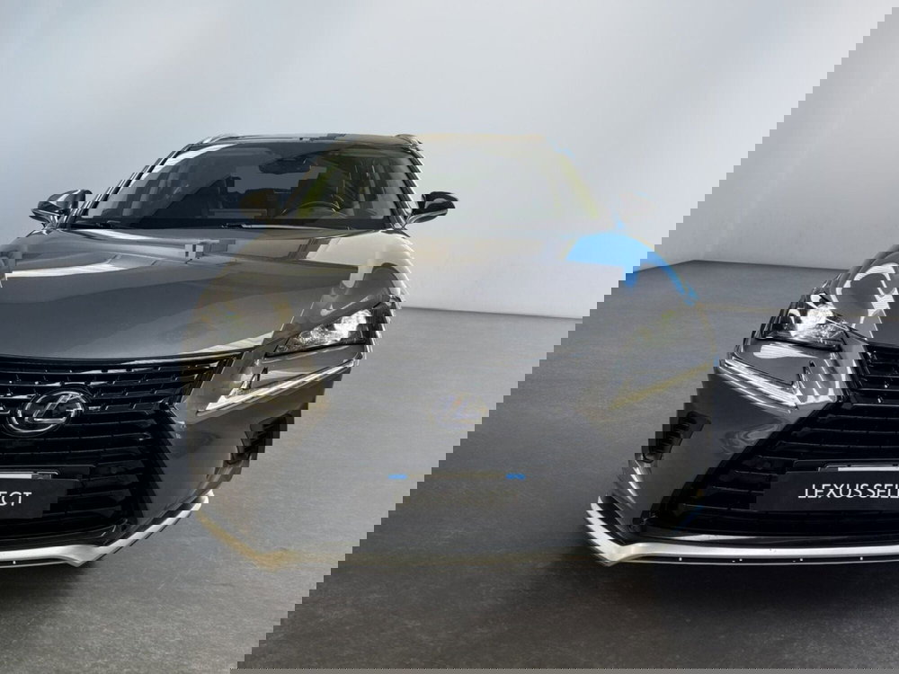 Lexus NX usata a Modena (2)