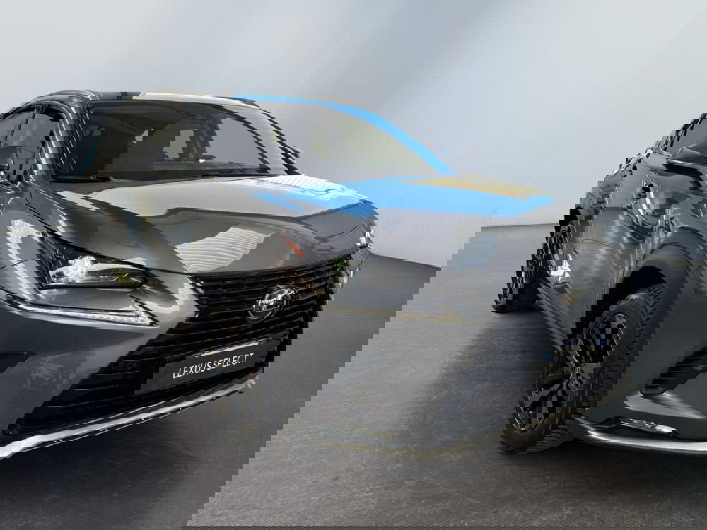 Lexus NX usata a Modena (3)