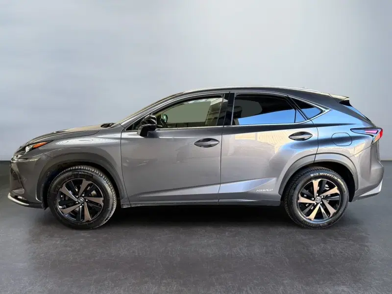 Lexus NX usata a Modena (4)