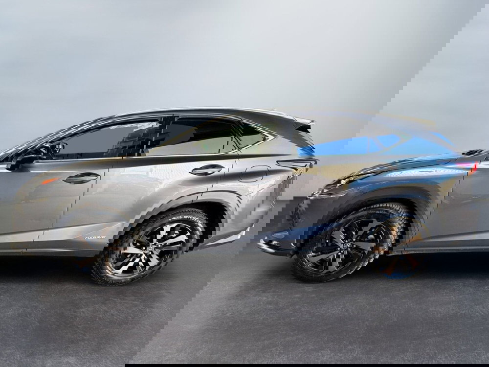 Lexus NX usata a Modena (4)