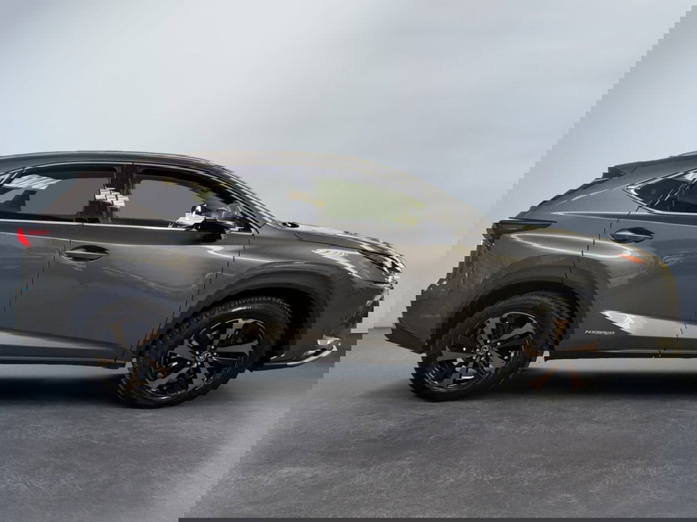Lexus NX usata a Modena (5)